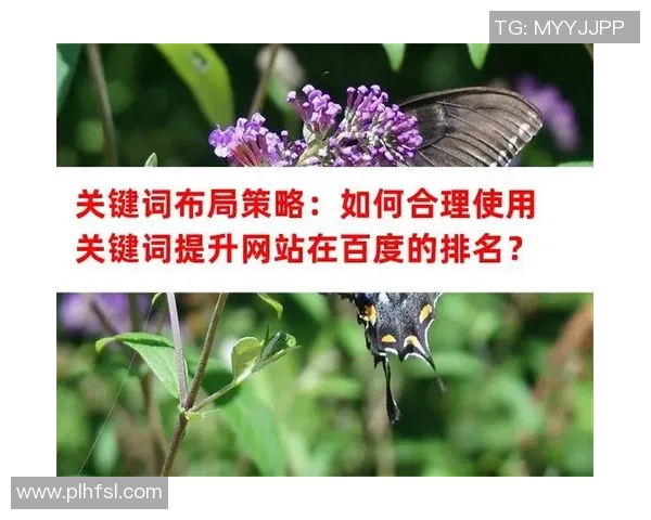 数据分析揭示上海排球队团队协作表现的关键因素与提升策略