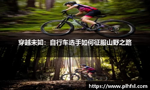 OD体育网址
